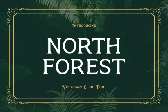 North Forest: A Serif Font for Elegant Design